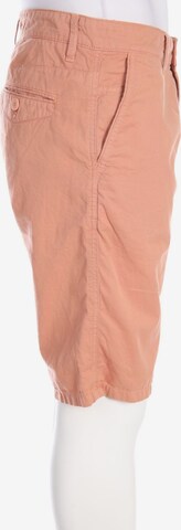 DRYKORN Shorts 32 in Orange