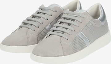 Baskets basses GEOX en gris