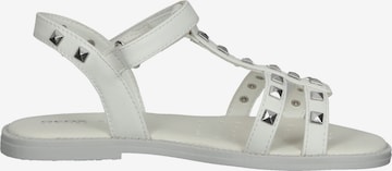 Chaussures ouvertes GEOX en blanc