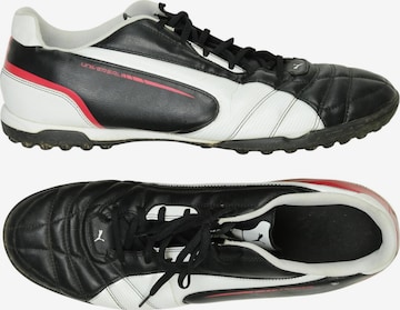 PUMA Sneaker 48,5 in Schwarz: Vorderseite