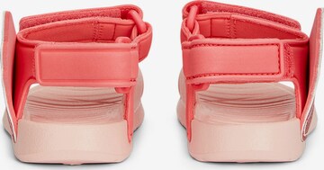 Flip-flops 'Divecat v2 Injex' de la PUMA pe roz