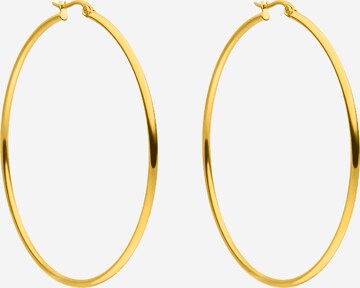 PURELEI Earrings in Gold: front