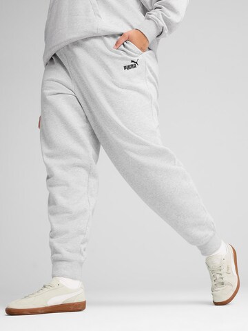 Tapered Pantaloni sportivi 'Ess No. 1' di PUMA in grigio