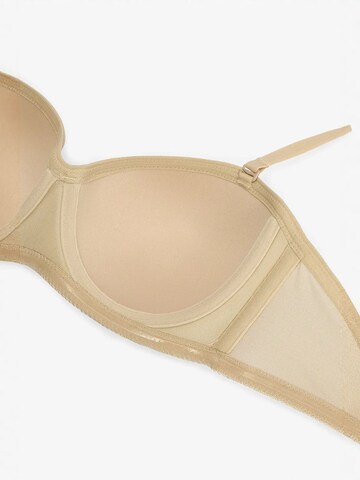 Penti Klasičen Nedrček 'BHs & Bralettes' | mešane barve barva