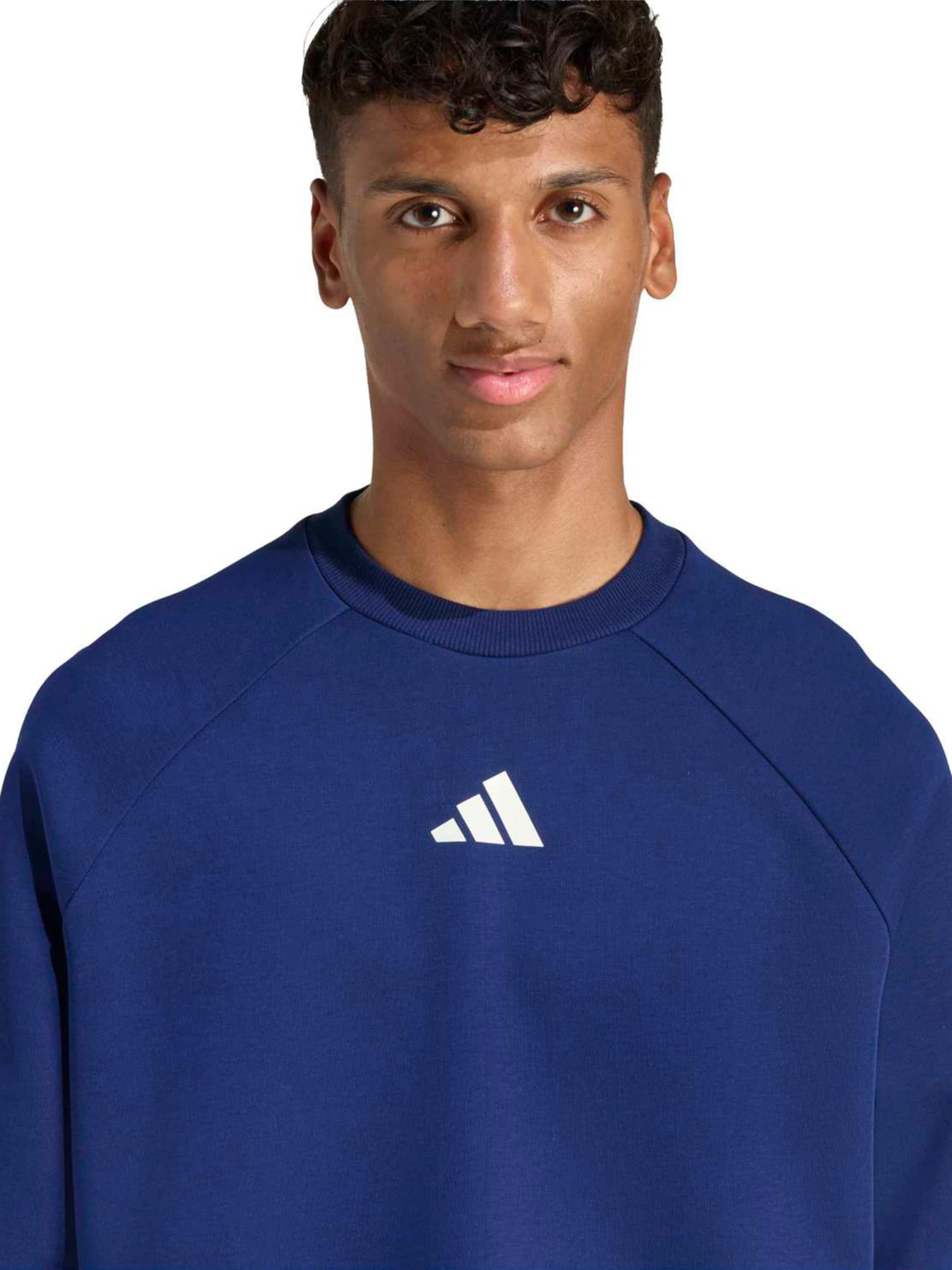 ADIDAS SPORTSWEAR Спортивный свитшот 'STADIUM' в Синий