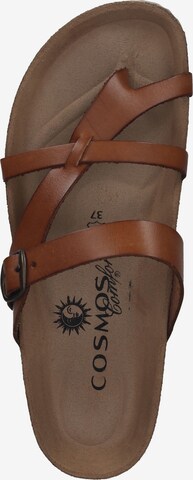 COSMOS COMFORT Mules in Brown