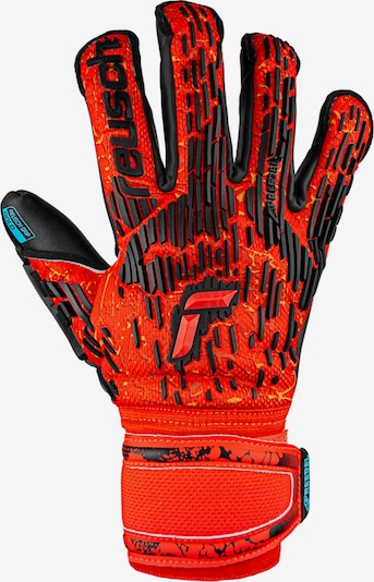 REUSCH Athletic Gloves 'Attrakt Freegel Gold Evolution Cut' in Mint / Red / Black, Item view