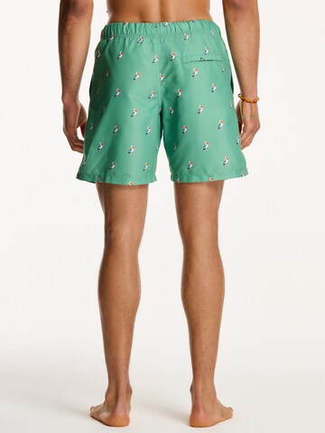 Shiwi Board Shorts 'PELICAN' in Green