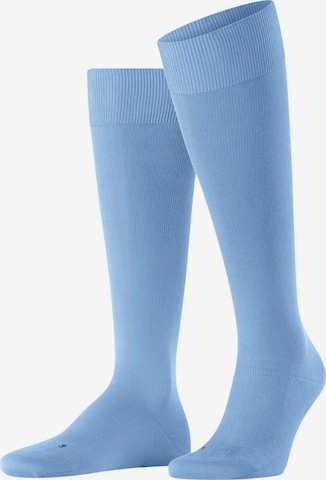 FALKE Kniestrümpfe 'Energizing Cotton' in Blau: Vorderseite