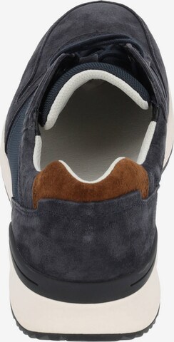 Pius Gabor Sneakers in Blue