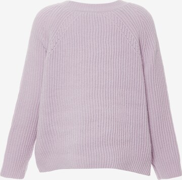 Jalene Sweater in Purple