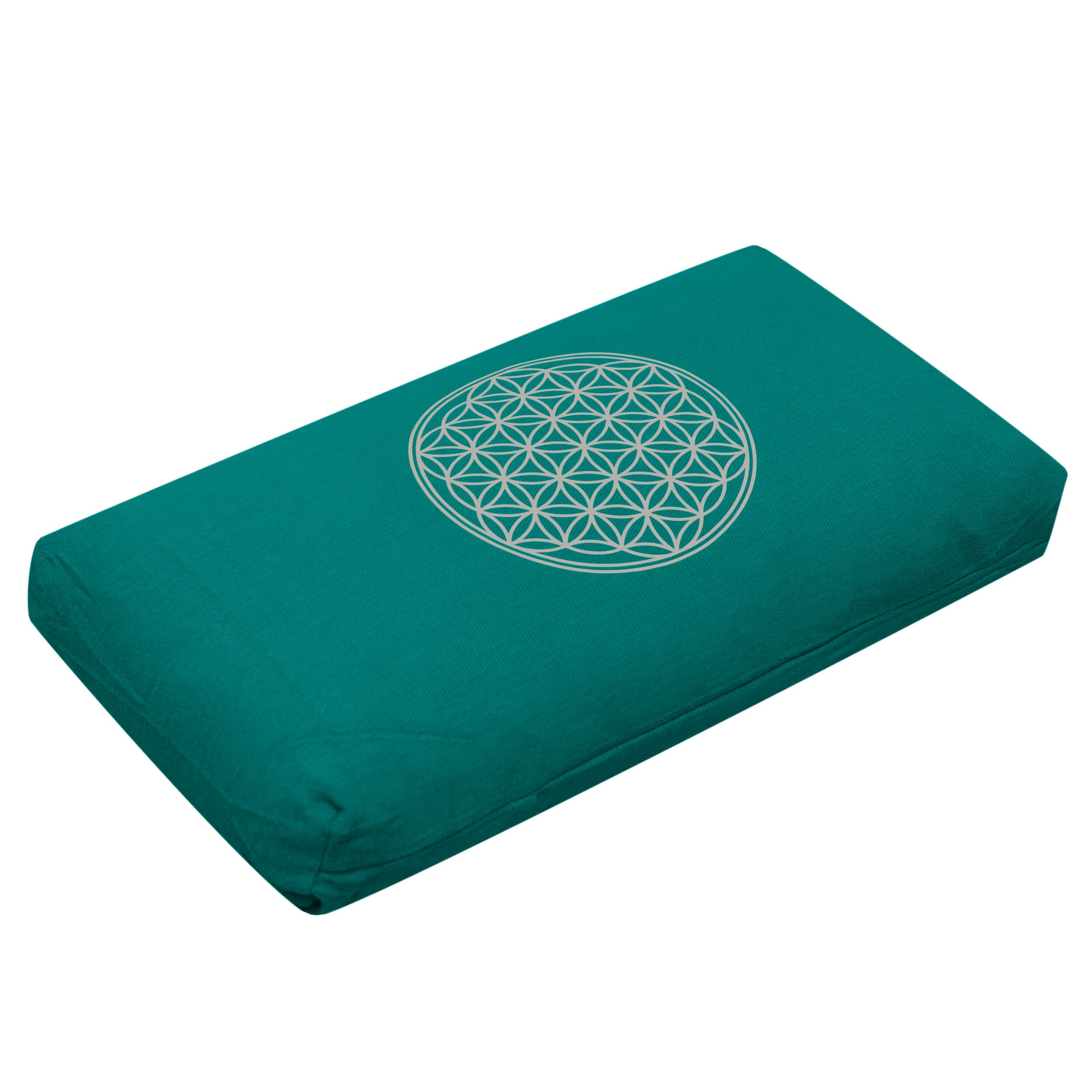 YOGISTAR.COM Pillow in Green: front