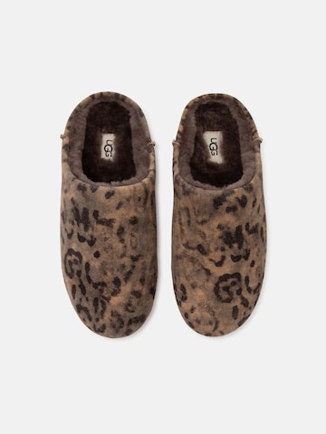 UGG Mule 'Elea' in Brown