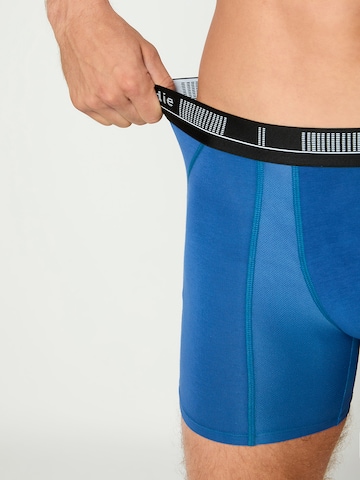 Boxers ' Long Cotton Active ' Nur Die en bleu