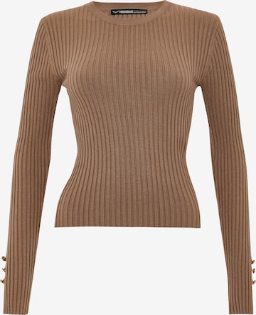 Threadbare Sweater 'Hannah' in Brown: front