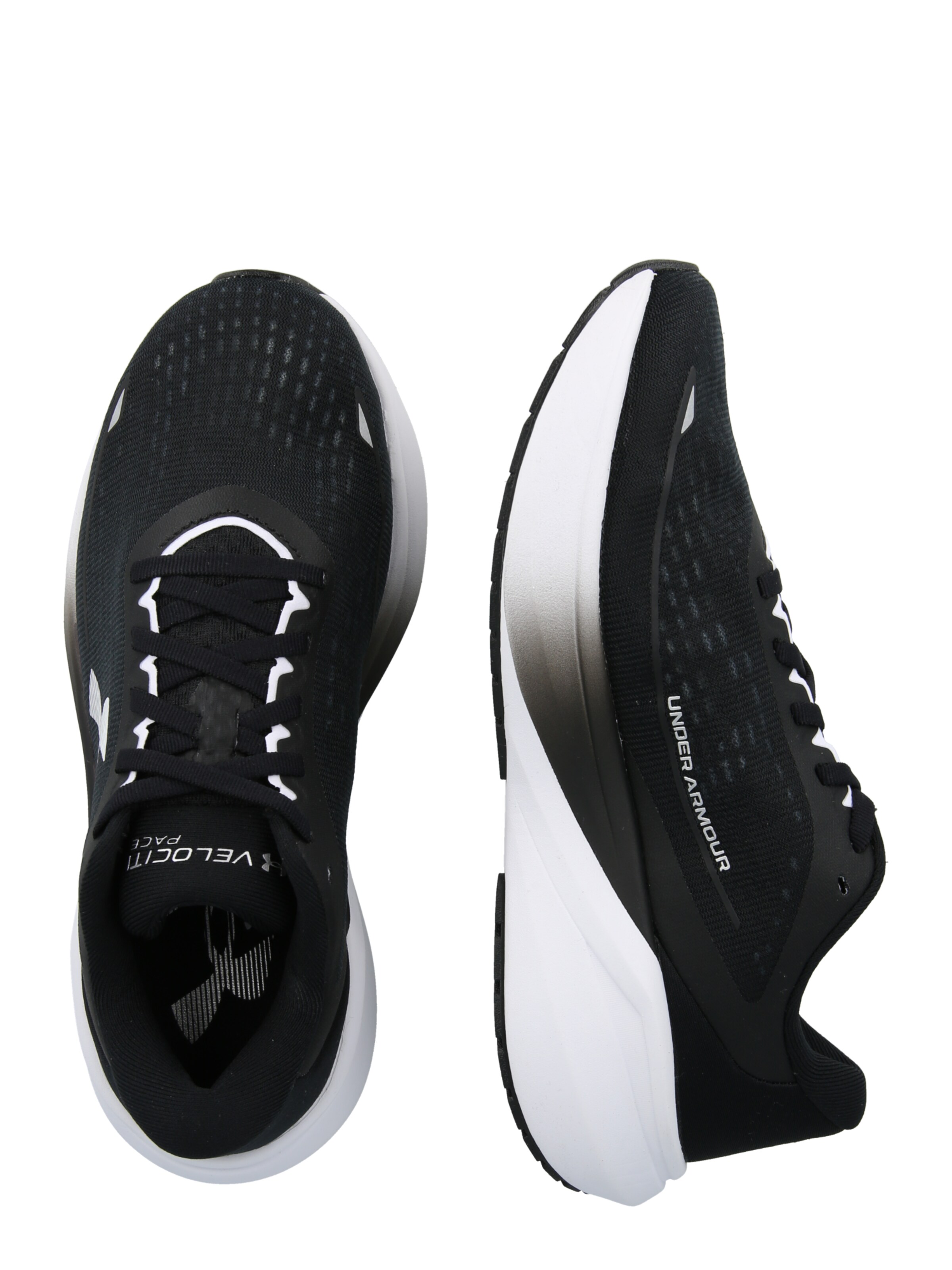 UNDER ARMOUR Running Shoes 'Velociti Pace' in Black