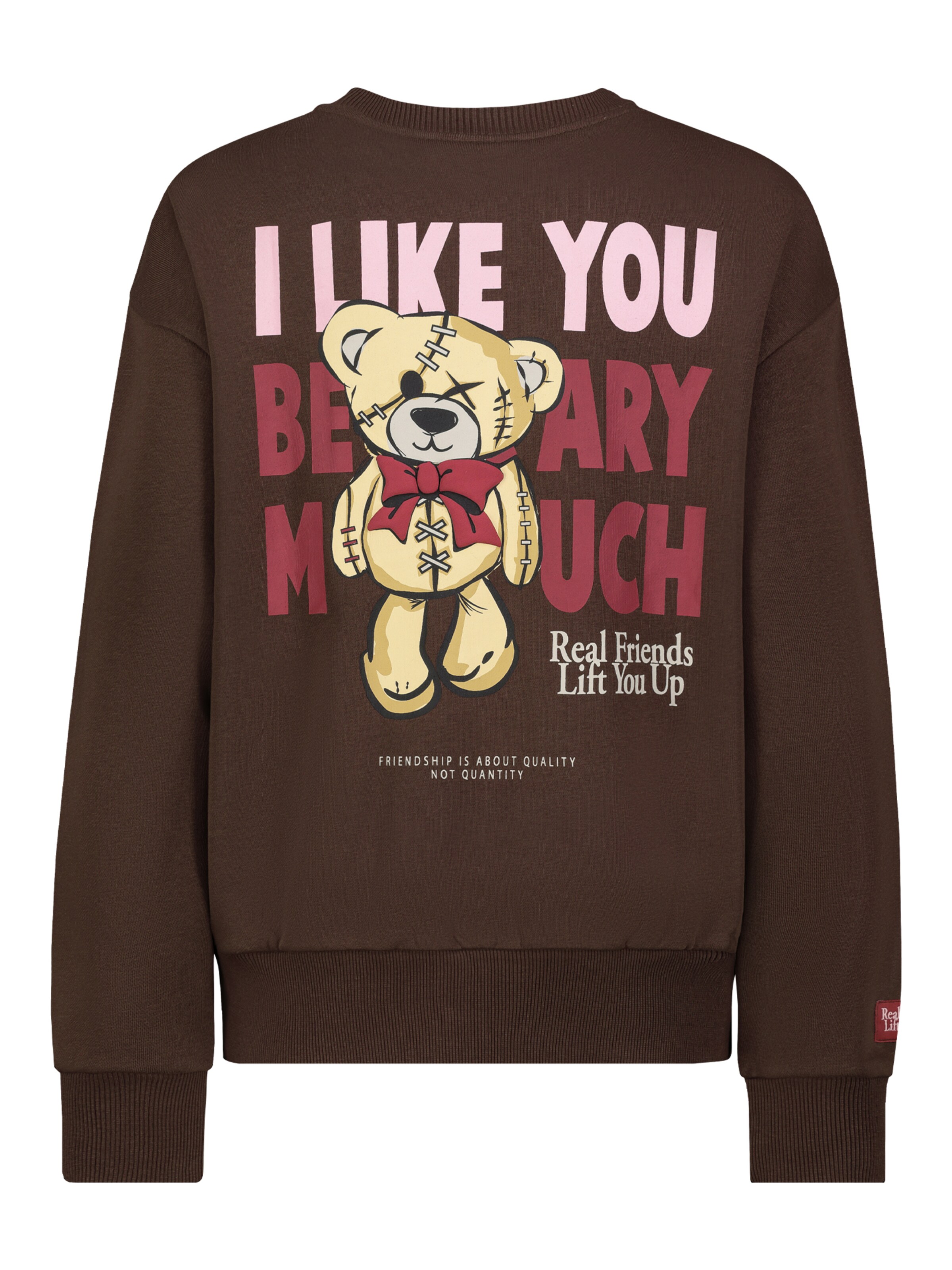 Sublevel Sweatshirt in Braun