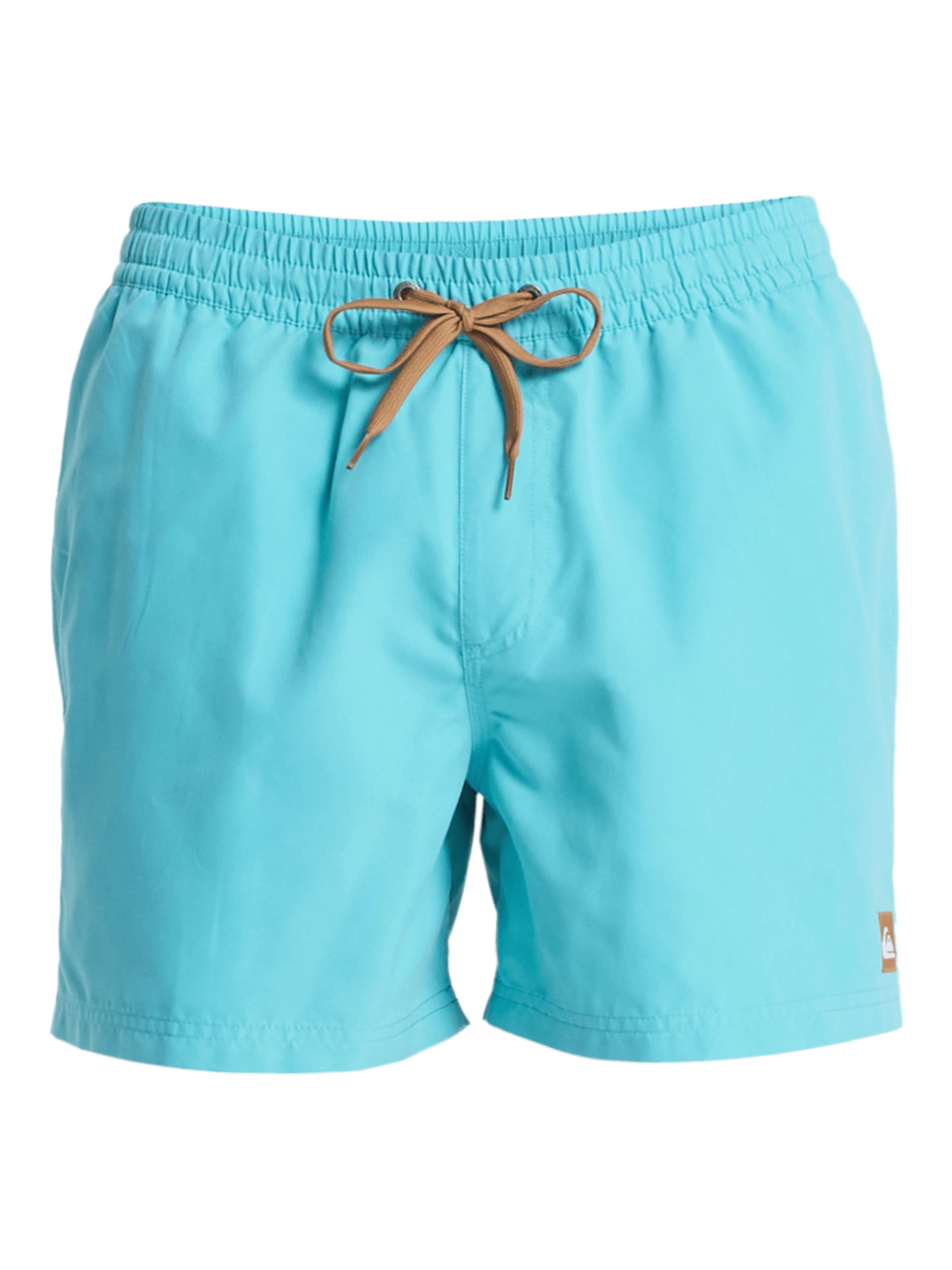 QUIKSILVER Regular Badeshorts 'Everyday Solid Volley 15' in Blau: Vorderseite