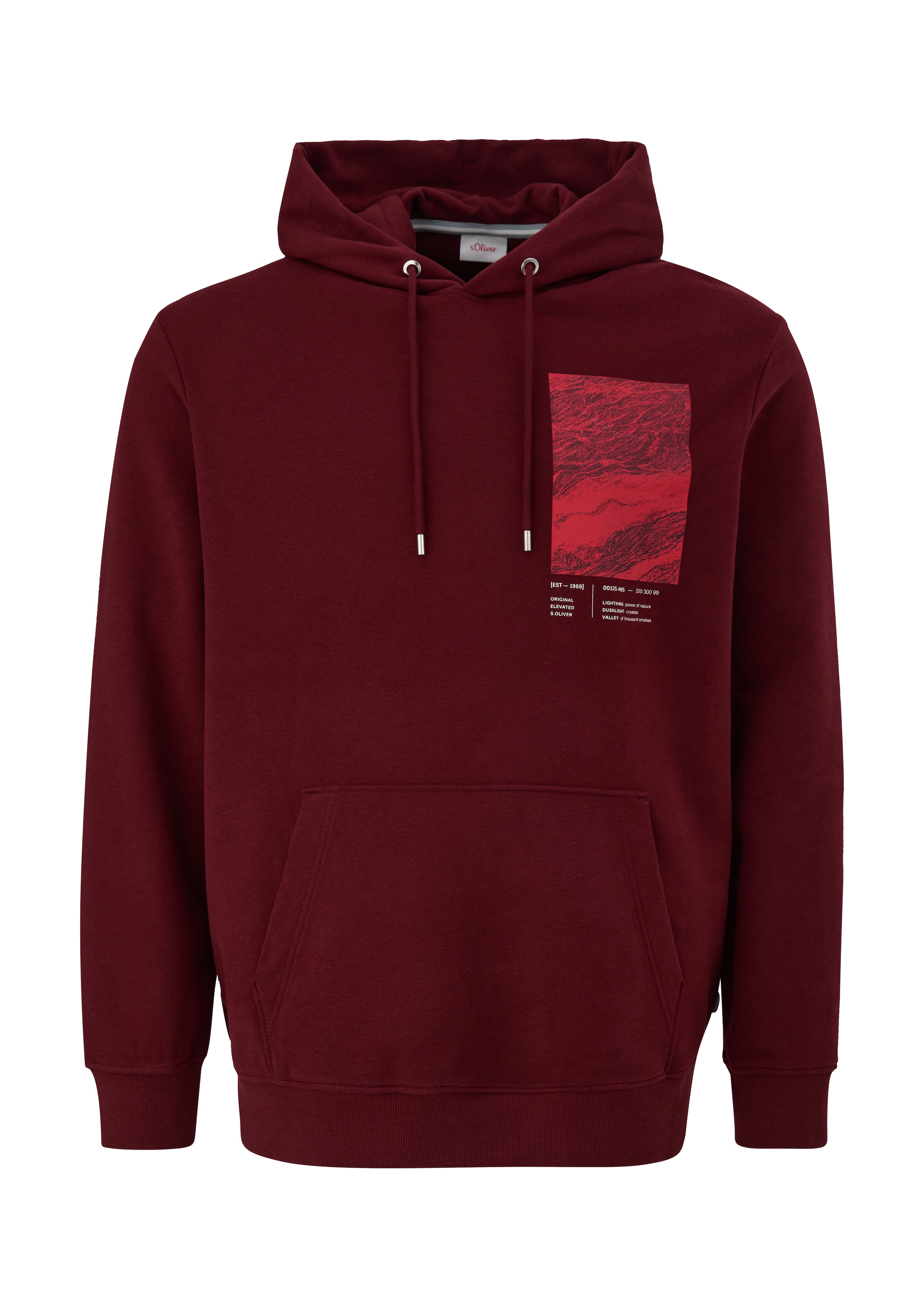 s.Oliver Men Big Sizes Sweatshirt in Rot: Vorderseite