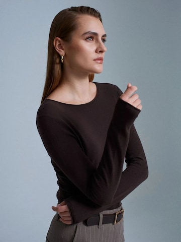 Pull-over 'Pullover' Dilvin en marron : devant
