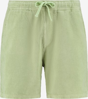 Pantaloni 'RIO' di Shiwi in verde: frontale