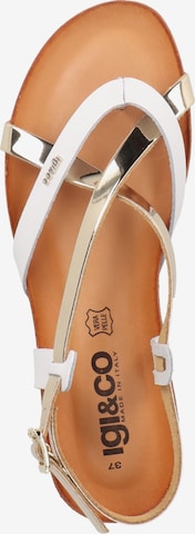 IGI&CO T-Bar Sandals in White