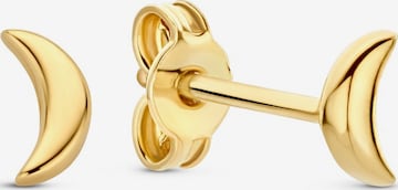 Boucles d'oreilles Beloro Jewels en or : devant