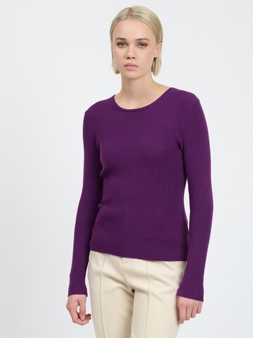 Influencer Sweater in Purple: front
