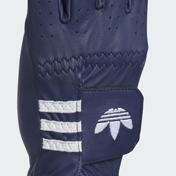 ADIDAS PERFORMANCE Sporthandschoenen in Blauw