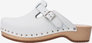 BERKEMANN Clogs 'Riemen-Toeffler' in White: front