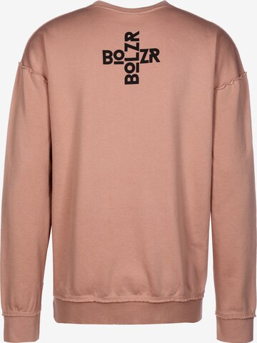 Bolzr Sweatshirt in Brown