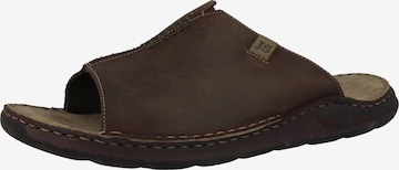 JOSEF SEIBEL Mules 'Maverick' in Brown: front