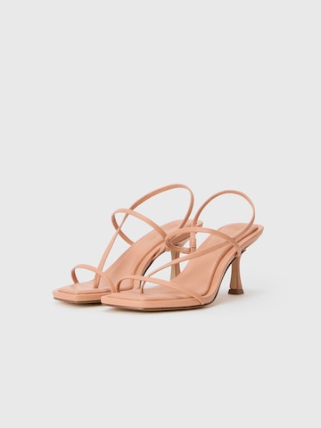 STEVE MADDEN Σανδάλι με λουράκια 'LOCKE' σε καφέ