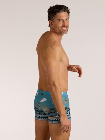 wavebreaker Badehose in Blau