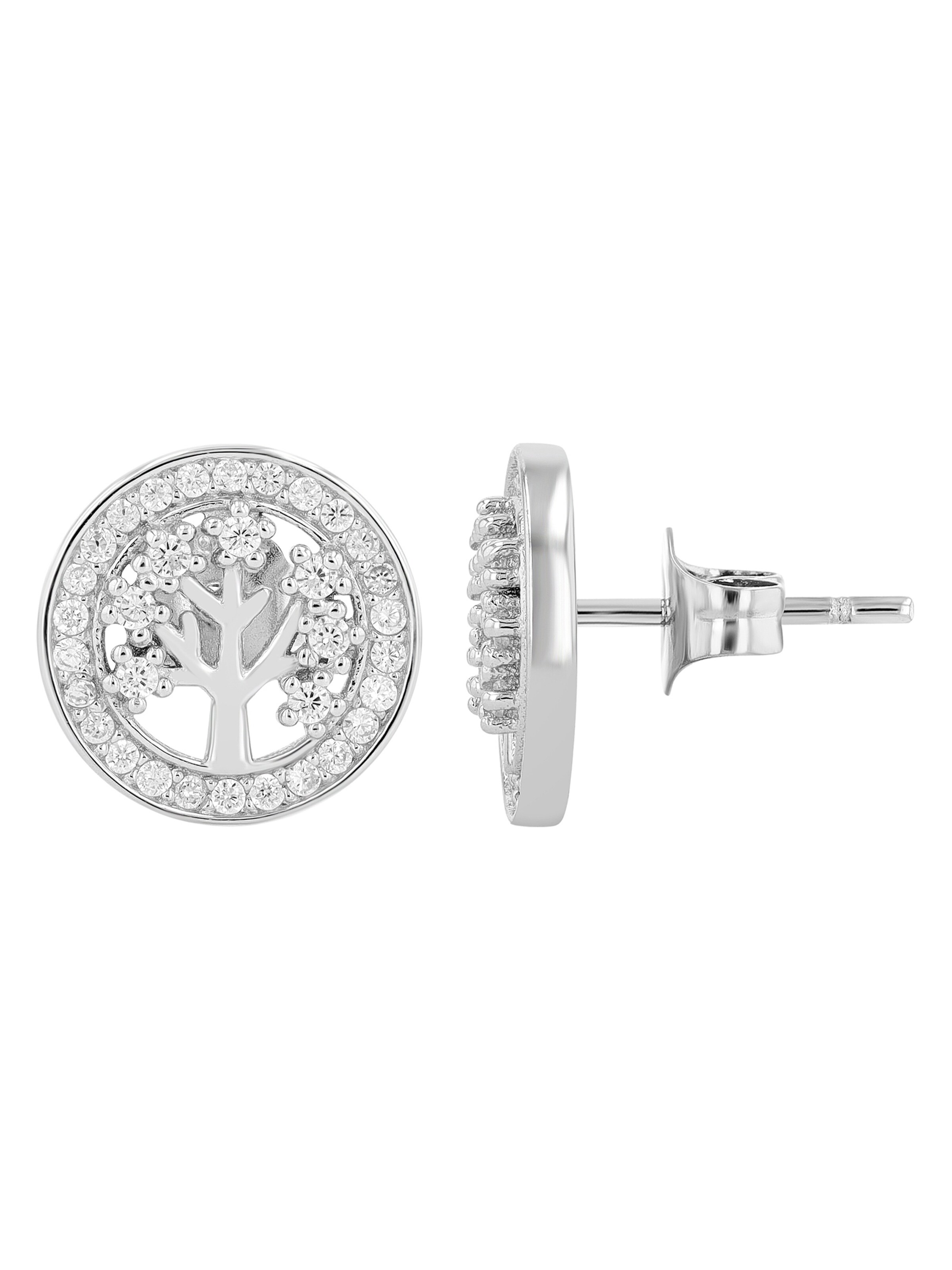 Akzent Earrings 'langlebig' in Silver: front