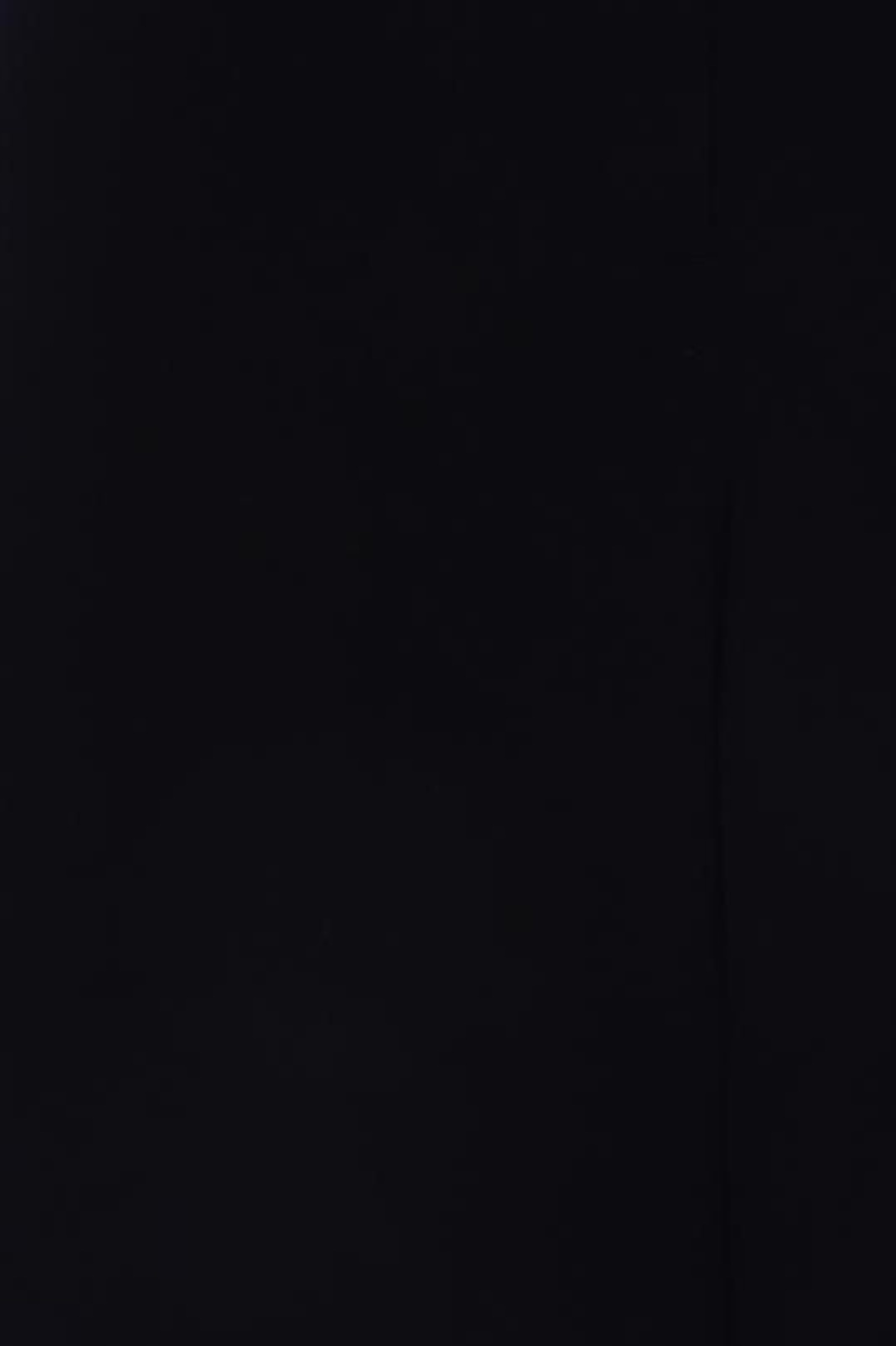 HALLHUBER Pants in S in Black