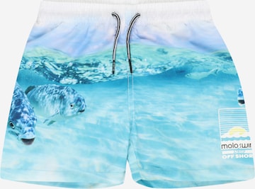 Shorts de bain 'Niko' Molo en bleu : devant