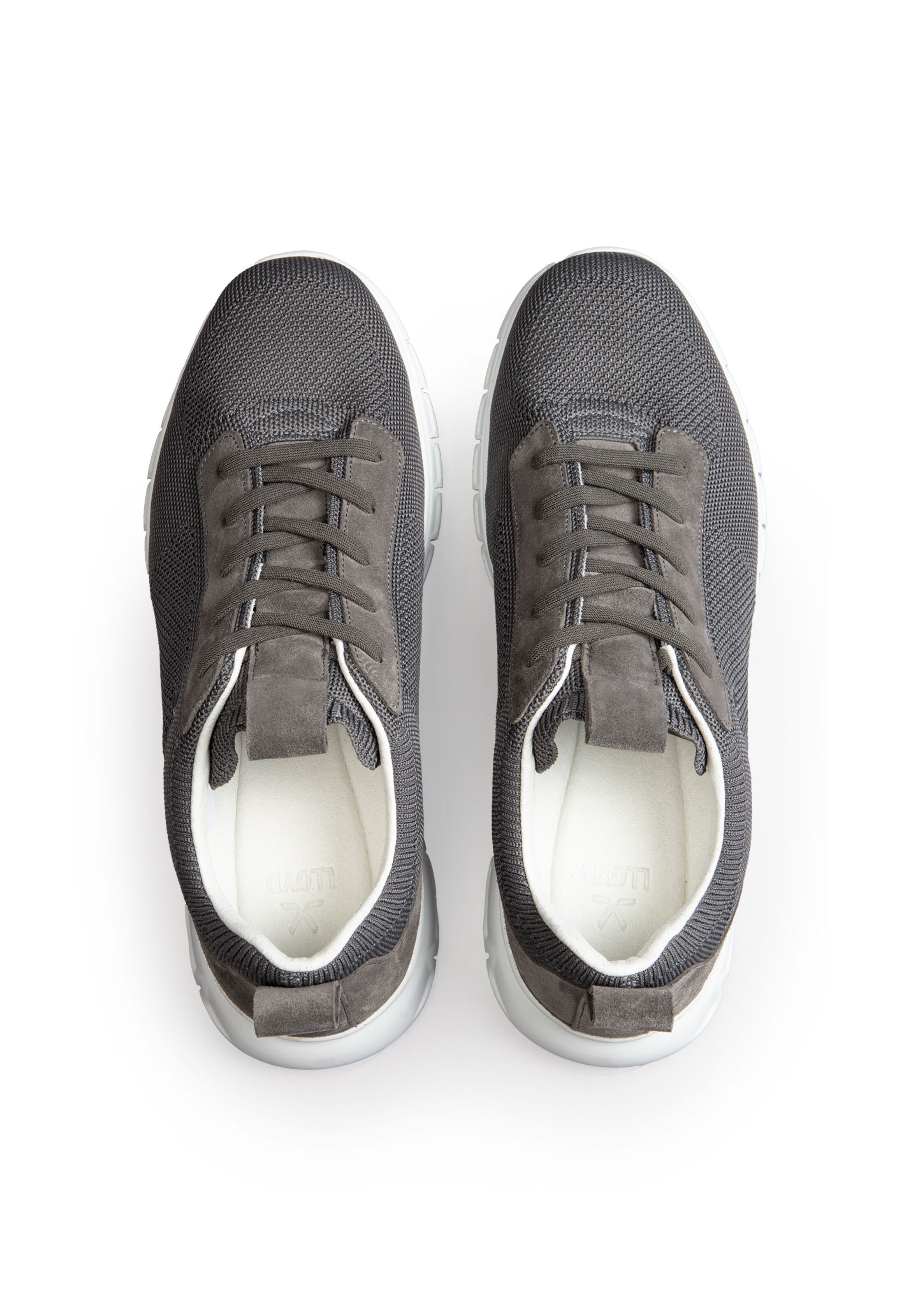 Baskets basses LLOYD en gris