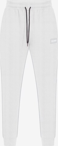 Smilodox Pants 'Suit Pro' in Grey: front