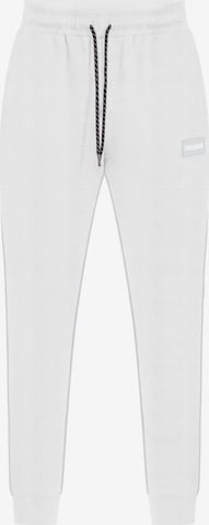 Pantalon 'Suit Pro' Smilodox en gris : devant