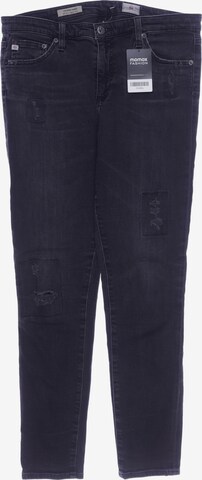 Adriano Goldschmied Jeans in 31 in Grey: front