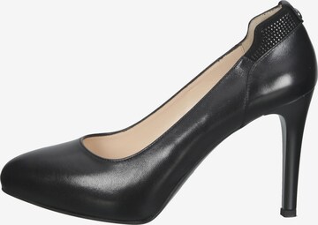 Nero Giardini Pumps in Black