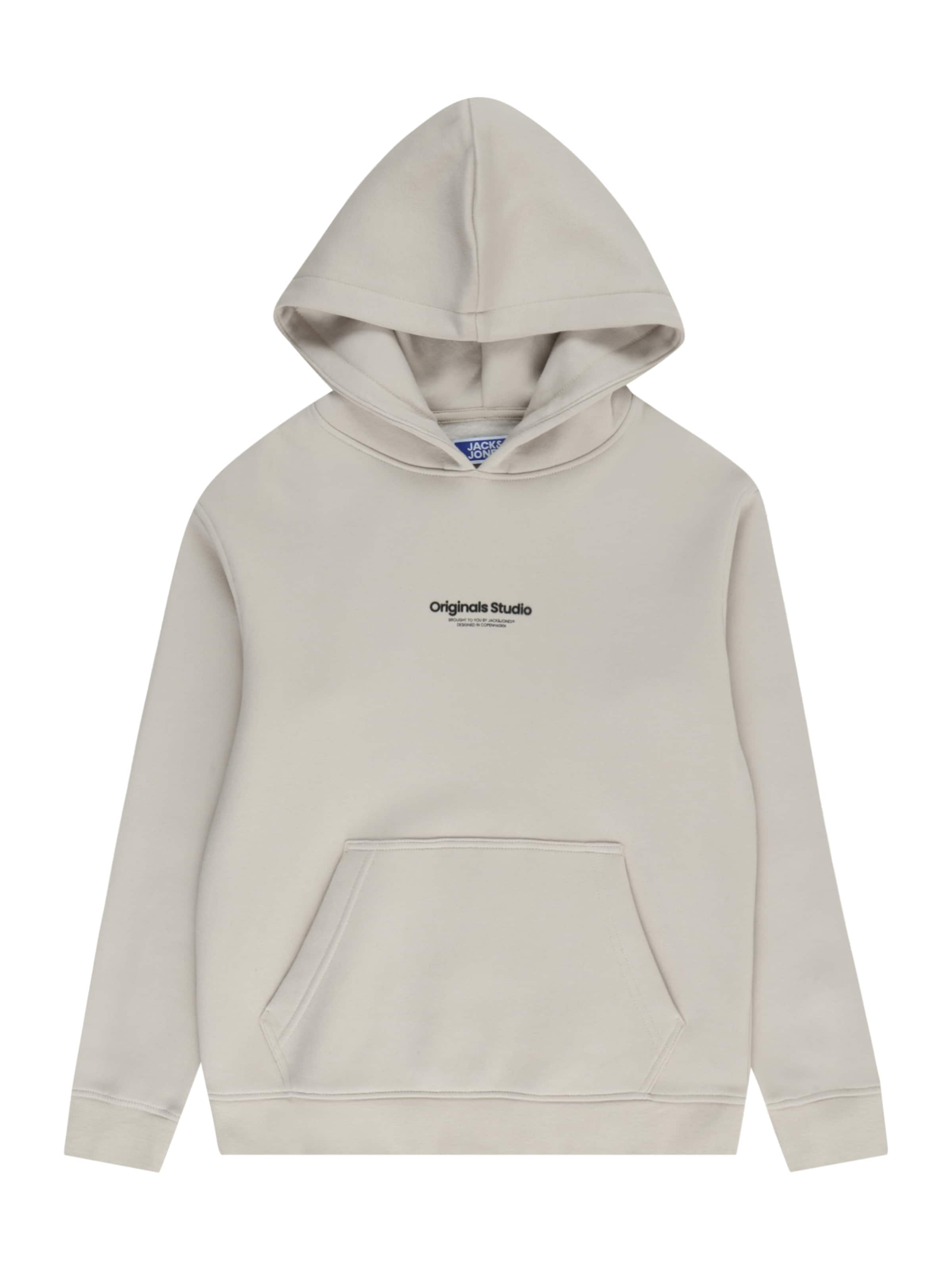 Jack & Jones Junior Sweatshirt 'JORVESTERBRO' in Beige: front