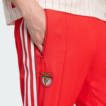 ADIDAS ORIGINALS Tapered Trousers 'Benfica Lissabon Terrace Icons' in Red