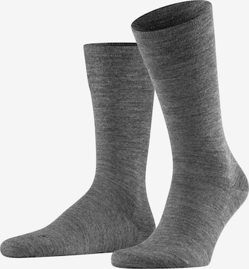 FALKE Socken 'Sensitive Berlin' in Grau: Vorderseite