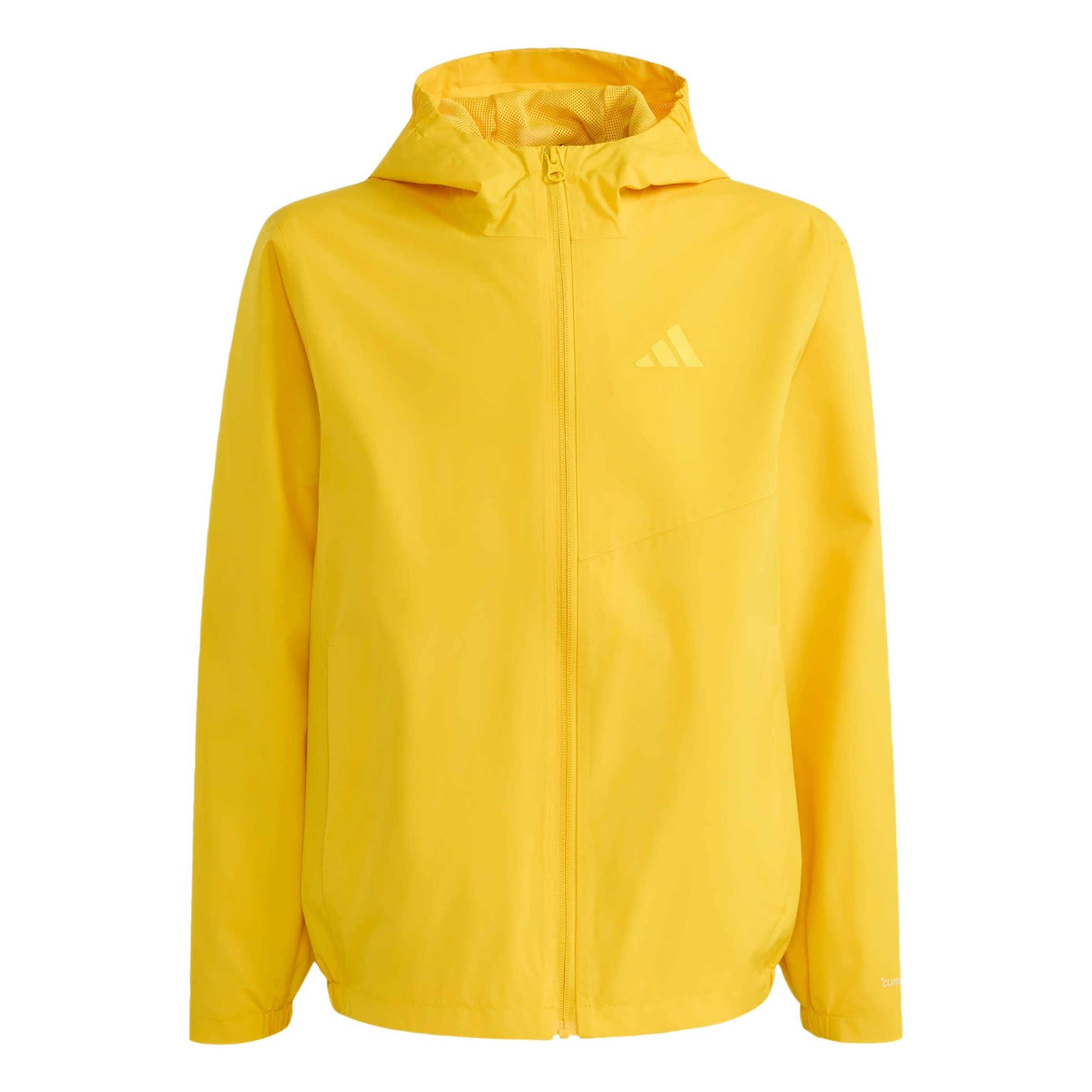 ADIDAS TERREX Outdoor jacket 'Multi 2' in Yellow: front