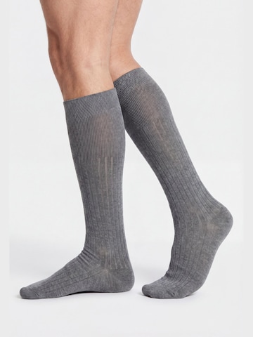 Ciocca Knee High Socks in Mixed colors