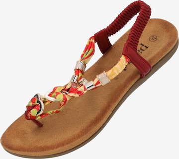 Palado by Sila Sahin T-bar sandals 'Jurte' in Red: front