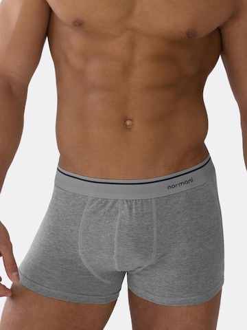 normani Boxershorts in Grau