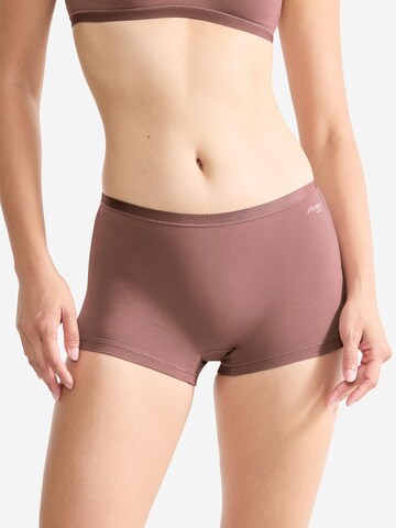 SLOGGI Broekje 'GO Daily Cotton' in Bruin